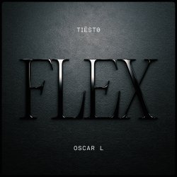 Обложка Tiesto & Oscar L - Flex