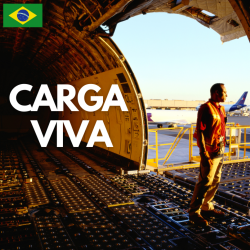 Обложка Carga Viva - Maquillaje