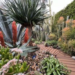 Обложка Echo Gardens - Den nich