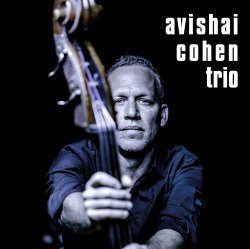 Обложка Avishai Cohen - Shuffle