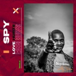 Обложка S.P.Y - Love Hurts