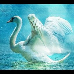 Обложка Lacross - Save Me (Swan Lake)
