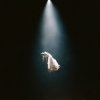 Ariana Grande - Hampstead