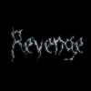 Обложка The Revenge - Every Night The Revenge - Every Night
