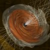 Wellenfeld - Black Hole