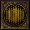 Bring Me The Horizon - Can You Feel My Heart