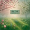 Fileva -  
