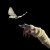 The Temper Trap - Sweet Disposition (ARTBAT Extended Remix)