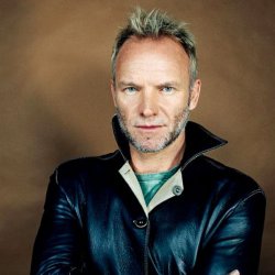 Обложка Sting - Shape Of My Heart