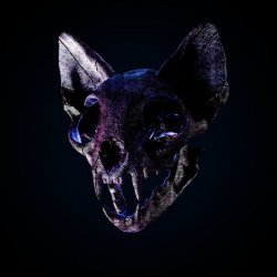 Обложка Darci - Wild Horse