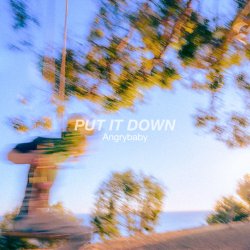 Обложка Angrybaby - PUT IT DOWN