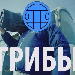 Обложка Грибы - Тает Лёд
