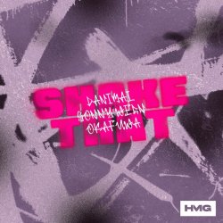 Обложка Danimal & Sonny Wern - Shake That