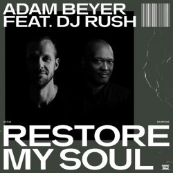 Обложка DJ Rush - Restore My Soul