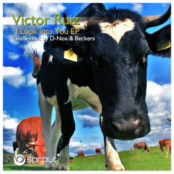 Обложка Victor Ruiz - I Look Into You