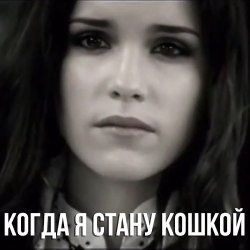 Обложка Маша Ржевская - Когда я стану кошкой