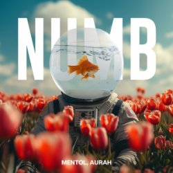 Обложка Linkin Park - Numb (Mentol Remix) Aurah Cover
