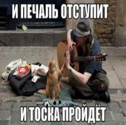 Обложка Ноль - Человек И Кошка
