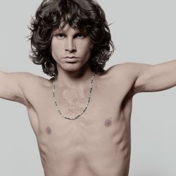 Обложка The Doors - The End