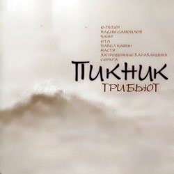 Обложка А_Дзарковский - Смутные дни (Пикник)
