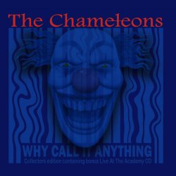 Обложка The Chameleons - Indiana