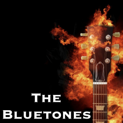 Обложка The Bluetones - String Along