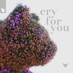 Обложка Cat Dealers & Tineway & Dani Doucette - Cry for You