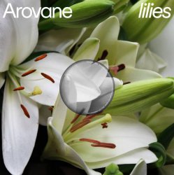 Обложка Arovane - Pink Lilies