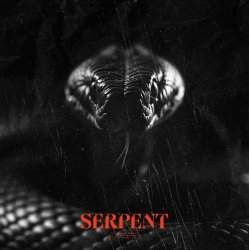 Обложка Sam Tinnesz & Tommee Profitt - Serpent