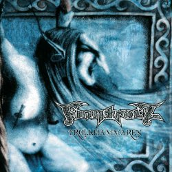 Обложка Fintroll - Trollhammaren