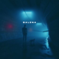 Обложка skyfall beats - balena