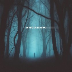 Обложка skyfall beats, silent anthem - arcanum