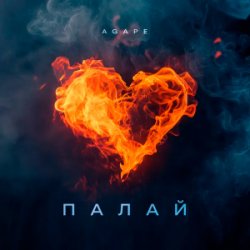 Обложка Agape - Палай