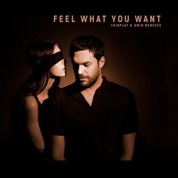 Обложка Phonique & Rebecca - Feel What You Want (Fairplay Remix)