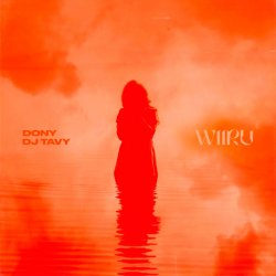 Обложка Dony & DJ TAVY - WIIRU