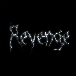 Обложка The Revenge - Every Night