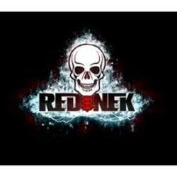 Обложка Rednek - Dub Island