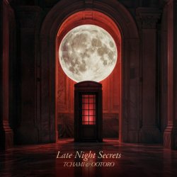 Обложка TCHAMI & OOTORO - Late Night Secret