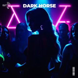 Обложка Slawd & Vallvete - dark horse (slowed + reverb)