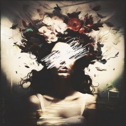 Обложка MsE - Crazy Night