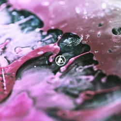Обложка Linkin Park - Overflow