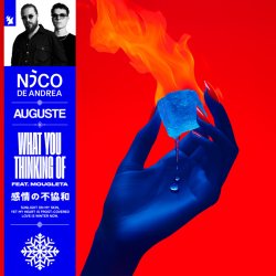 Обложка Nico de Andrea & AUGUSTE & Mougleta - What You Thinking Of