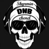 Dirtyphonics - Burbank Nights