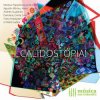 Oval - Credit Roll