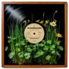 Skywoodsman - -