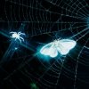 Обложка MOTHICA - TOXINS (HEAVY REMIX) MOTHICA - TOXINS (HEAVY REMIX)