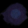 Floating Points - Miniature 27