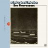 Alain Bellaiche - Sea Fluorescent
