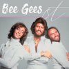 Bee Gees - You Know It's For You