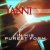 Обложка Yanni - Written on the Wind